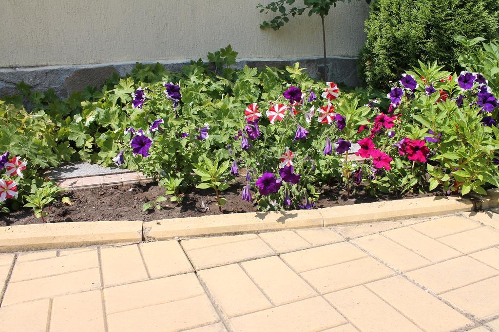 Aqua Blue Apartments Słoneczny Brzeg Zewnętrze zdjęcie